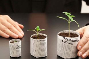 Kawasan Investasi yang Ditawarkan oleh Pemerintah Indonesia