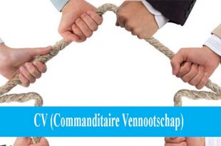 Syarat Dan Cara Bikin CV Perusahaan Dengan Mudah