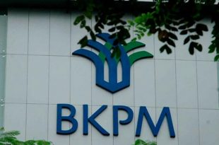 Syarat Izin Prinsip BKPM dalam Tahanpan Investasi