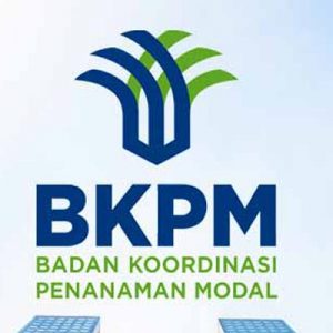 Jasa Pengurusan Izin Prinsip BKPM