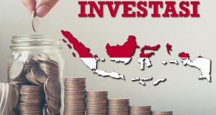 There is no more doubt that Indonesia provides many entrepreneurs and investors—both foreign and local—with a wide range of business opportunities - This is How a Nominee Company Works for a PT PMA in Indonesia