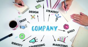 Why establishing a PT? - Building a Startup in Indonesia: Documents Required to Establish a Local Company